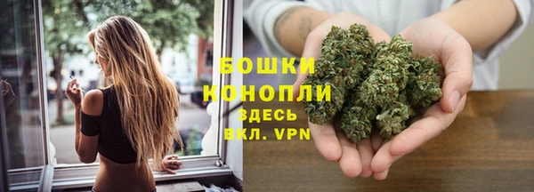 бошки Аркадак