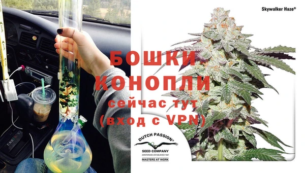 ешки Арсеньев