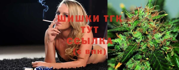 ешки Арсеньев