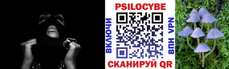 Галлюциногенные грибы Psilocybine cubensis  что такое   маркетплейс официальный сайт  Тогучин 